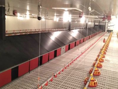 种鸡自动产蛋箱