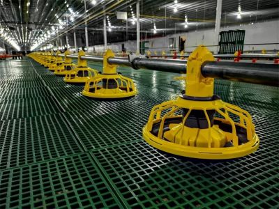 Broiler chicken equipment