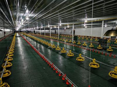 Broiler chicken equipment