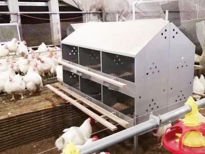 24穴手动产蛋箱