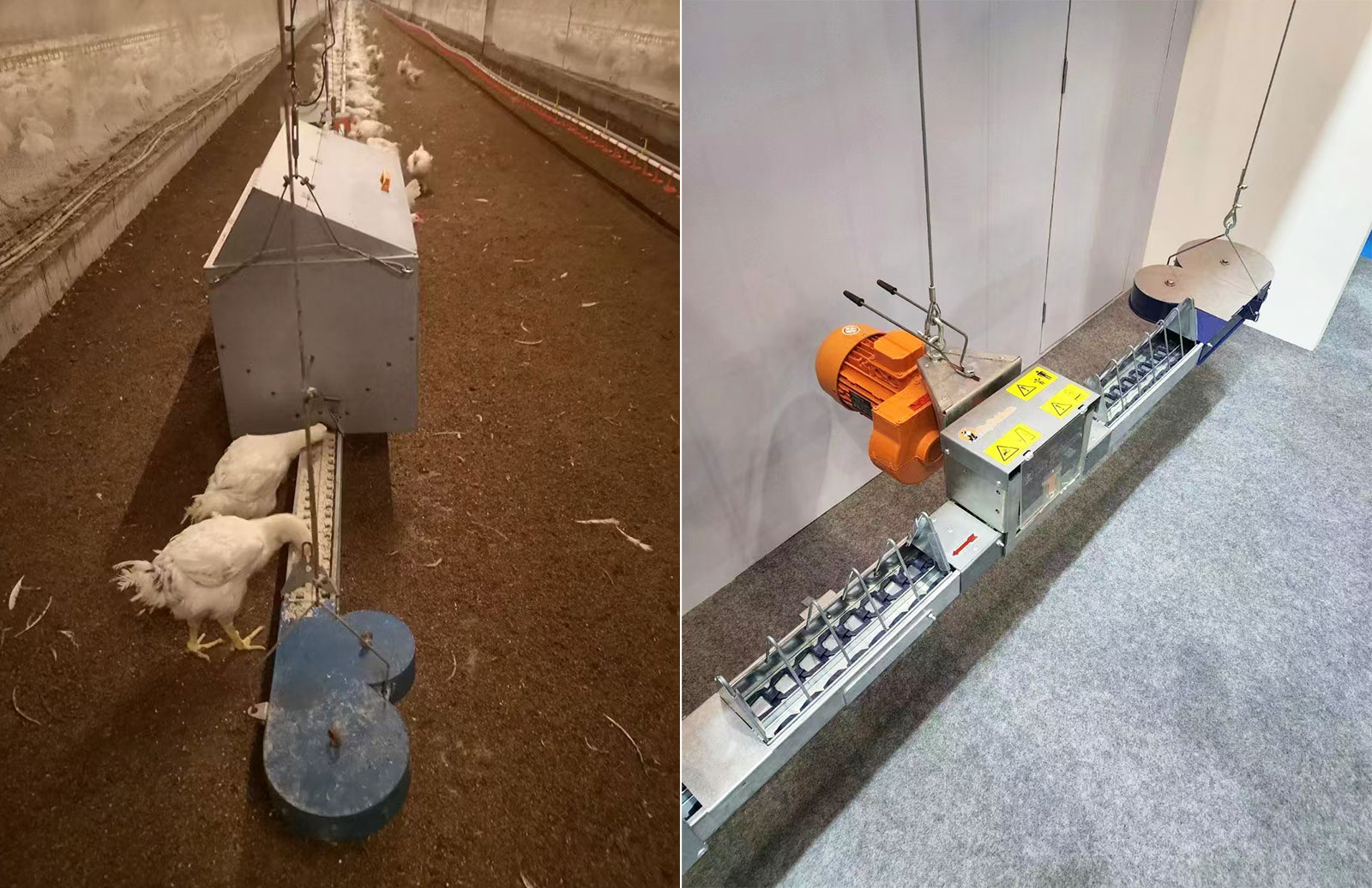 1746496100818806.jpg 1ee229dc-3a90-4d3c-a8dd-104f812a8d42.jpg