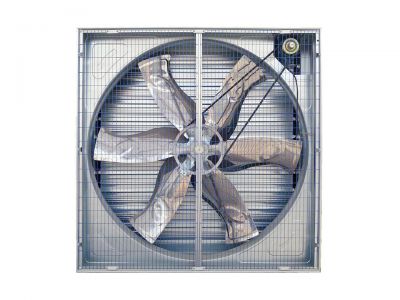 Centrifugle Fan ( Push-Pull Style)