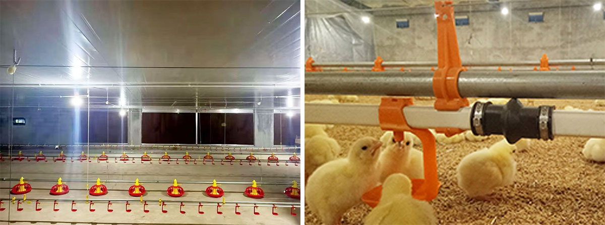 1773467854548257.jpg 实图.jpg