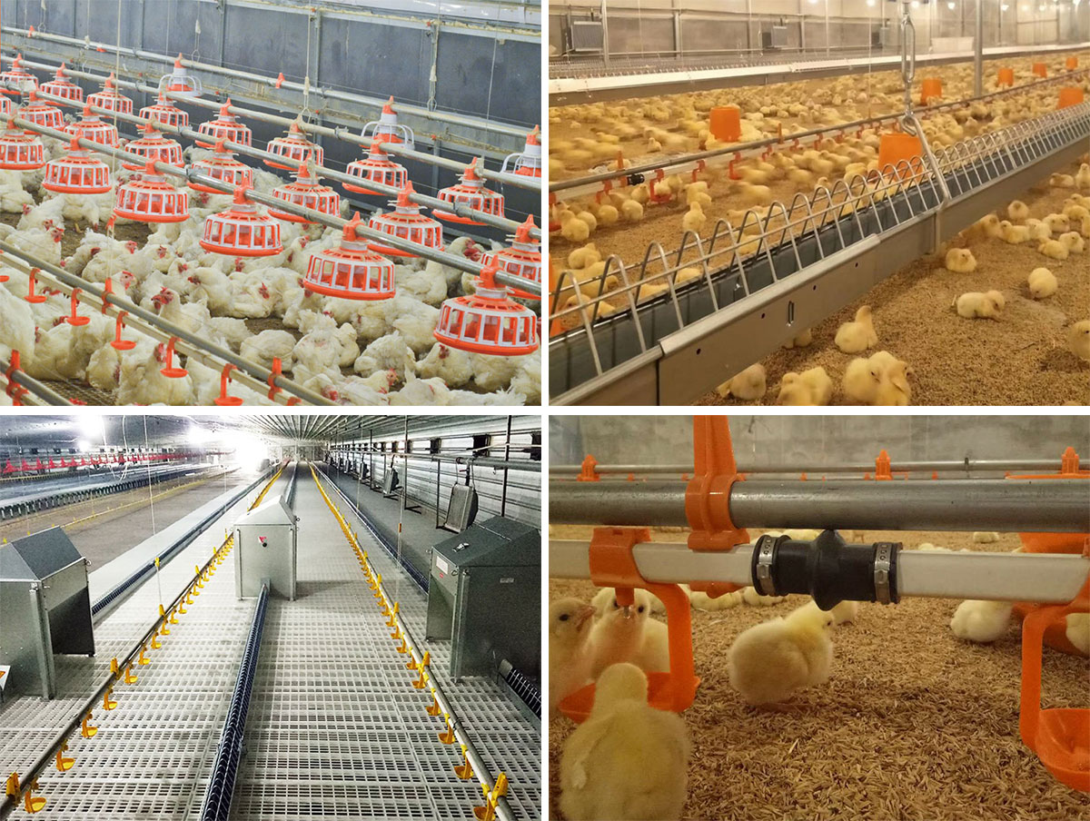 1773467877185938.jpg 应用.jpg