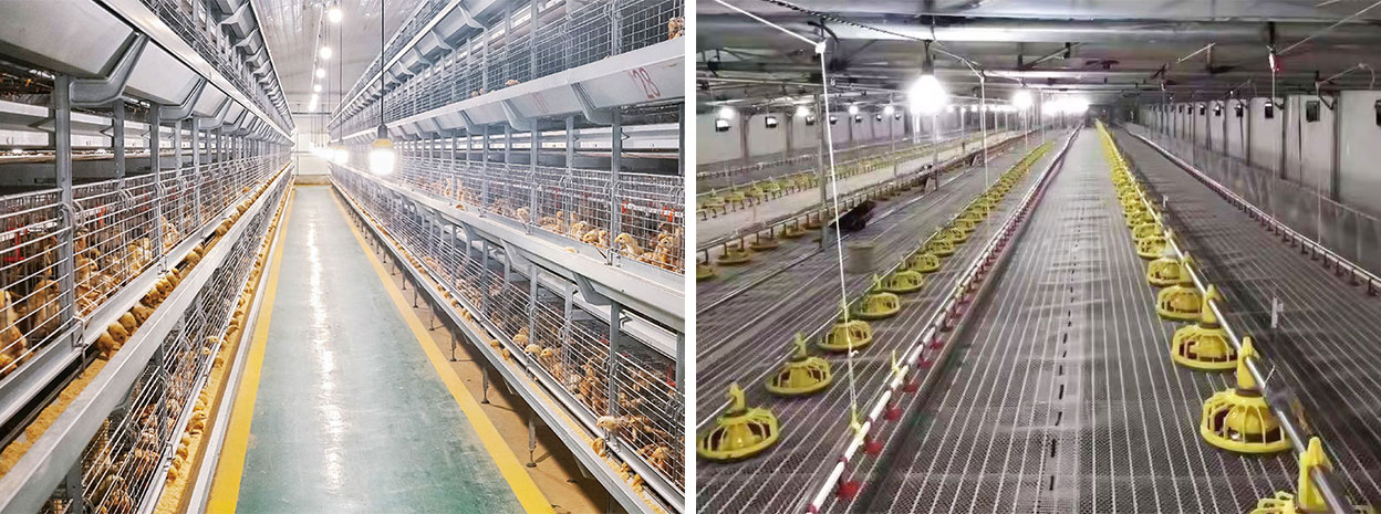 1774583989619567.jpg 实图.jpg