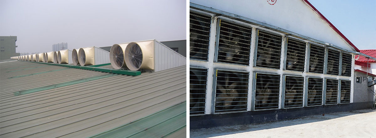 1775547526612834.jpg 未标题-1.jpg