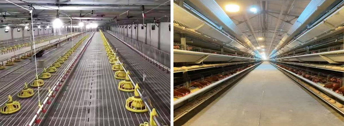 1775547929253896.jpg 1.jpg