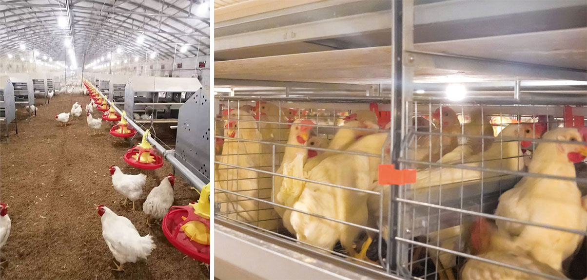 1775548061917056.jpg 未标题-1.jpg